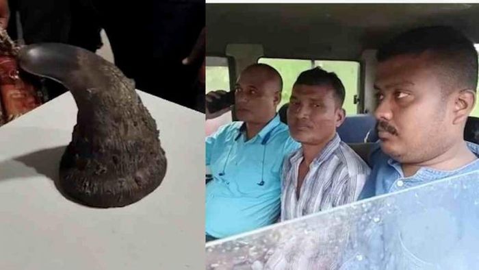 Rhino horn recovered, 2 suspected poachers held