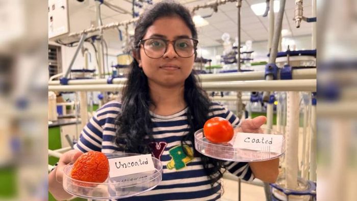 IIT Guwahati develops edible coatings to extend the shelf-life of fruits and vegetables