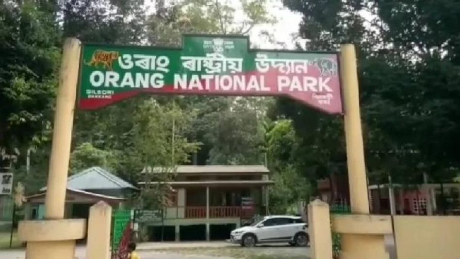 Rangers from Orang National Park in Assam honoured with highly-coveted international award Rangers from Orang National Park in Assam honoured with highly-coveted international award