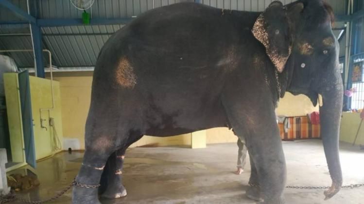 Tamil Nadu govt refuses Assam team to see Joymala