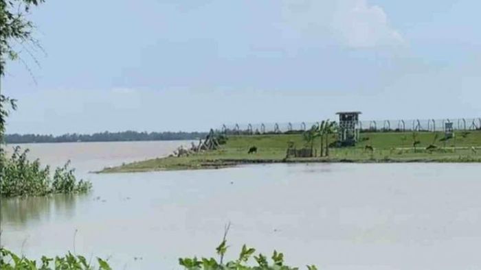 Border Security Fences in Dhubri