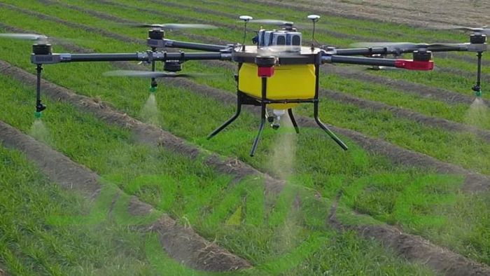 Drones Used To Spray Nano Urea Fertiliser in Assam's Pakhiajhar