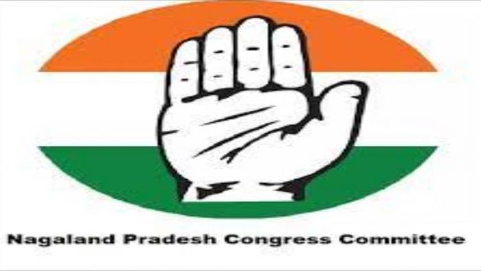 Nagaland: NPCC demands solution to Naga Political Issue before election