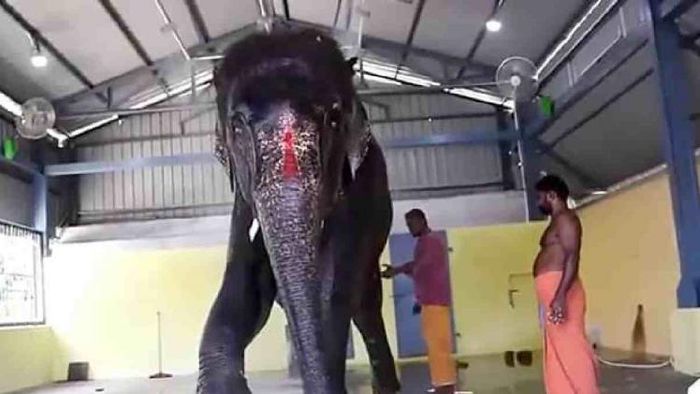 Assam team to examine Joymala’s health on September 19