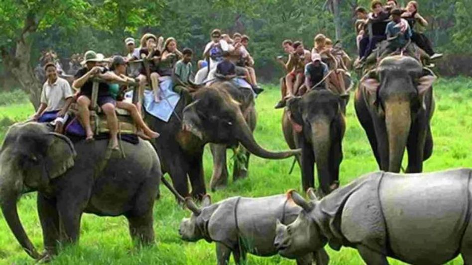 Assam: Kaziranga National Park likely to reopen for tourists after October 15 Assam: Kaziranga National Park likely to reopen for tourists after October 15
