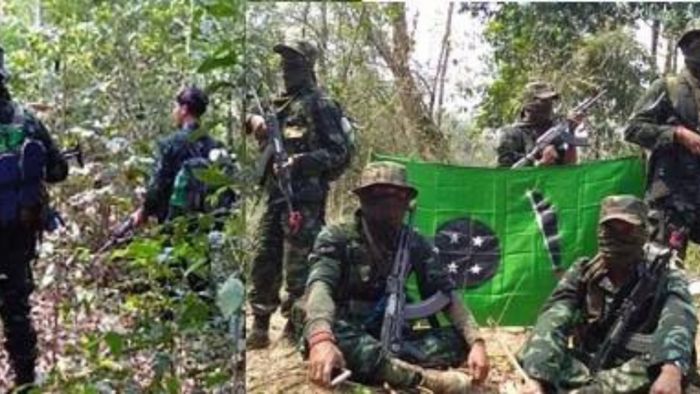 DNLA declares unilateral ceasefire