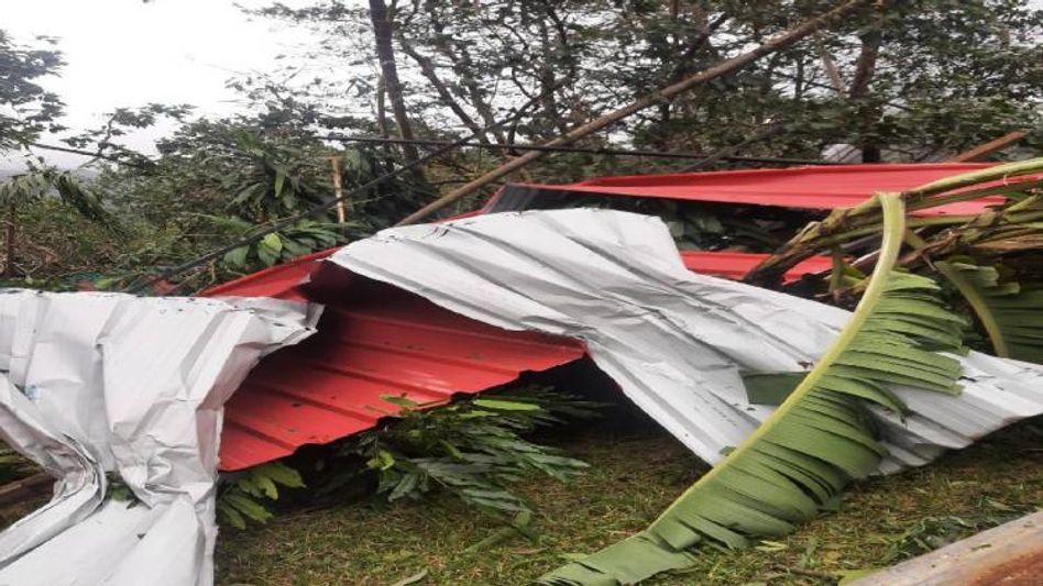 Manipur police destroy massive cache of narcotics in Imphal West Manipur police destroy massive cache of narcotics in Imphal West
