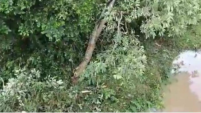 Heavy storms in Golaghat district