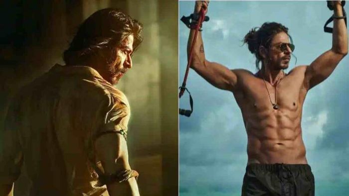 Pathaan storm in 100 days