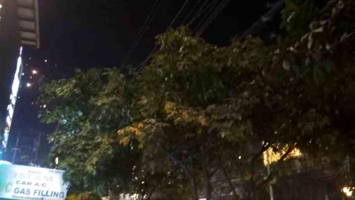 Birds flee en masse from fireworks in Assam’s Guwahati