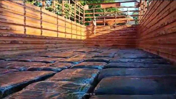 Marijuana worth Rs 80 lakh seized in Karbi Anglong