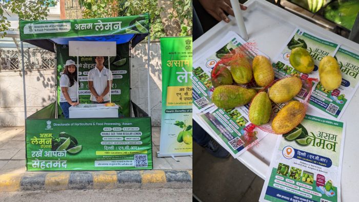 Directorate of Horticulture & Food Processing promoting Assam lemons in Delhi-NCR
