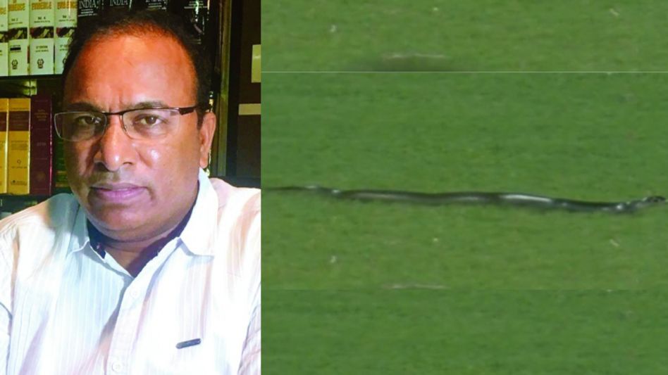 How did a snake land amid India Vs South Africa T20 match in Guwahati, ACA secretary explains How did a snake land amid India Vs South Africa T20 match in Guwahati, ACA secretary explains