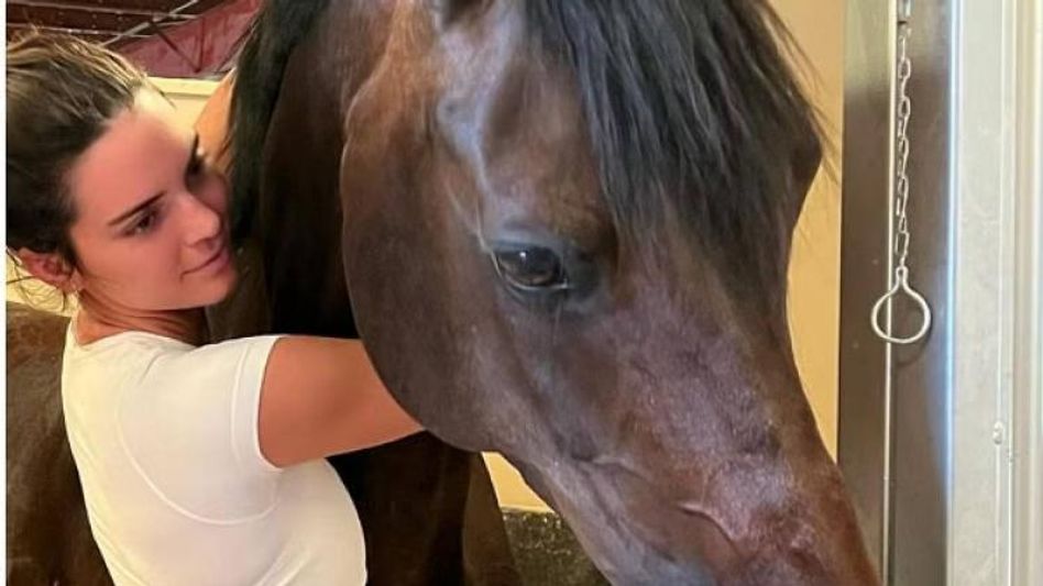 Kendall Jenner is expecting a baby horse via surrogate Kendall Jenner is expecting a baby horse via surrogate