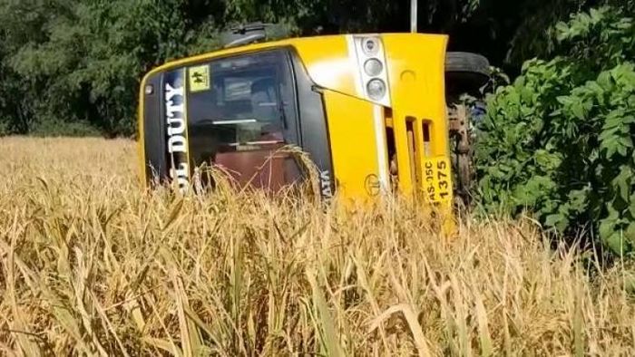 School bus falls into a paddy field in Bokakhat
