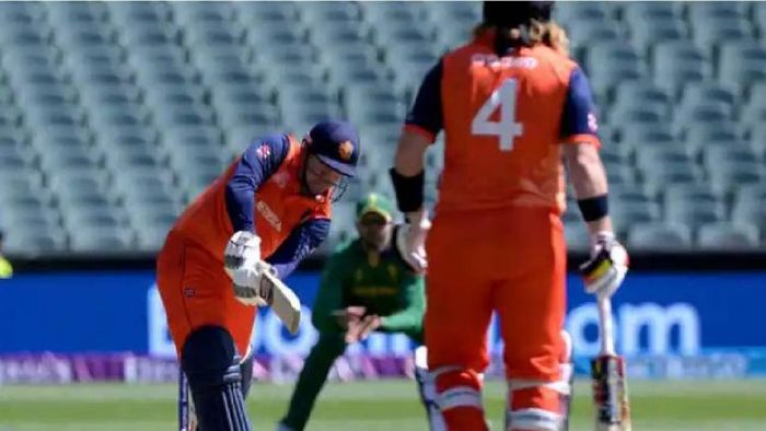 South Africa vs Netherlands