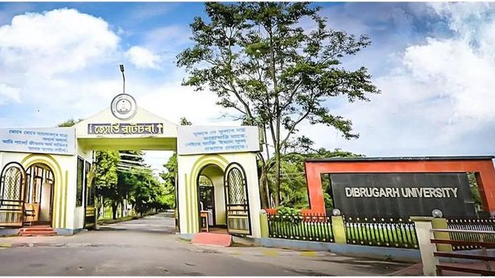 Dibrugarh University