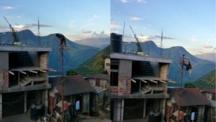 Lineman electrocuted in Lawngtlai district