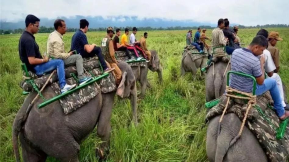 Assam: Elephant safari at Kaziranga National Park resumes for tourists Assam: Elephant safari at Kaziranga National Park resumes for tourists