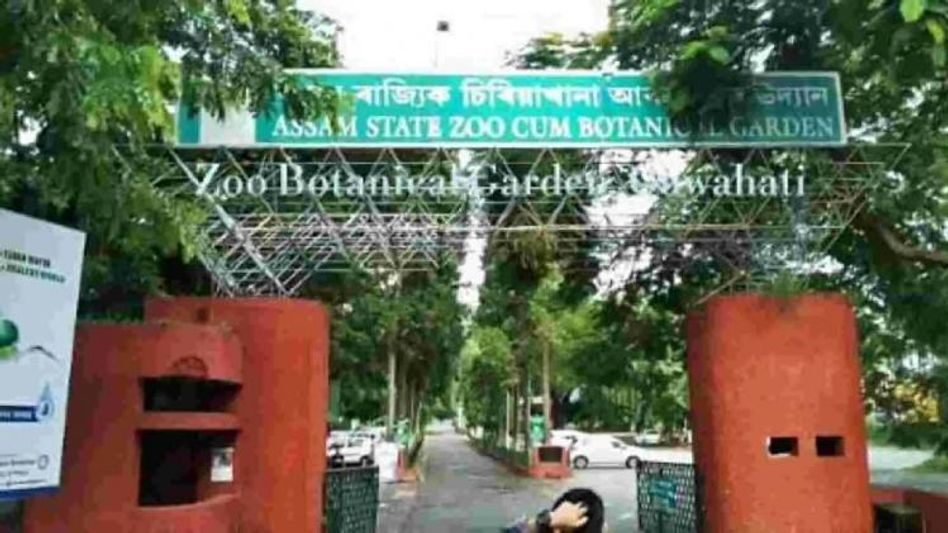 Protest rattle outside Assam state zoo after reports of animals purportedly being shipped to Gujarat surfaces Protest rattle outside Assam state zoo after reports of animals purportedly being shipped to Gujarat surfaces