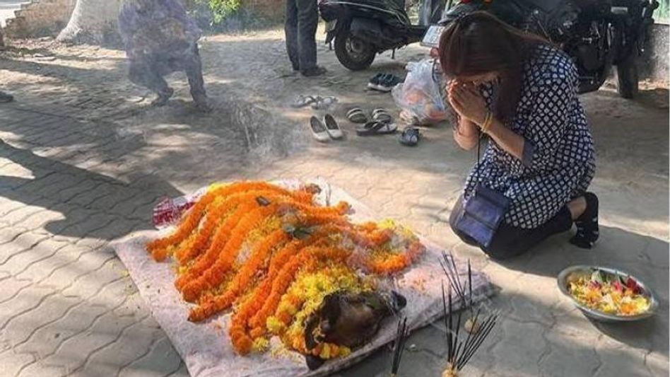 Manipur police destroy massive cache of narcotics in Imphal West Manipur police destroy massive cache of narcotics in Imphal West