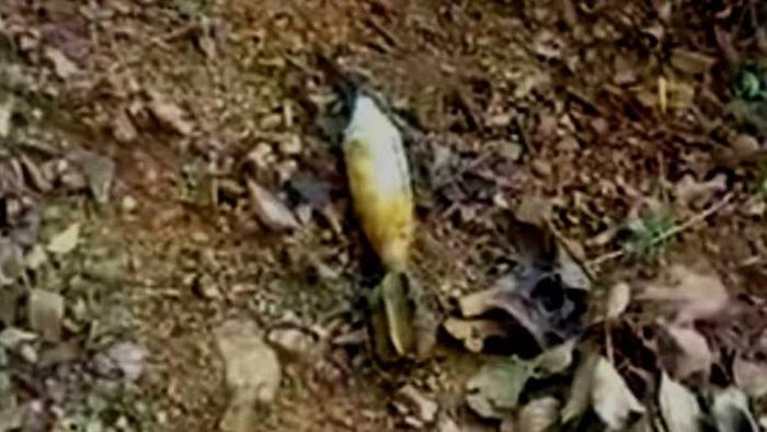 Aerial bomb found in paddy field in Thoubal district