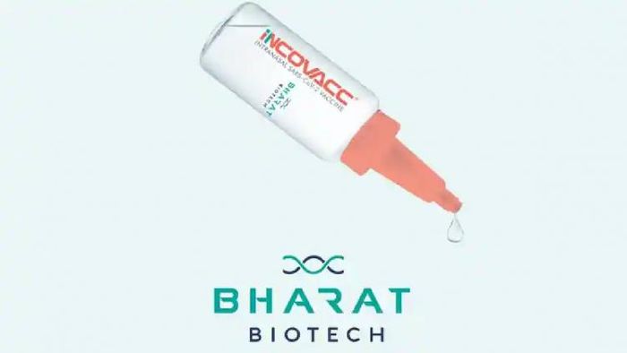 Bharat Bio's nasal vaccine iNCOVACC set to cost Rs 325 at government hospitals, Rs 800 at private hospitals
