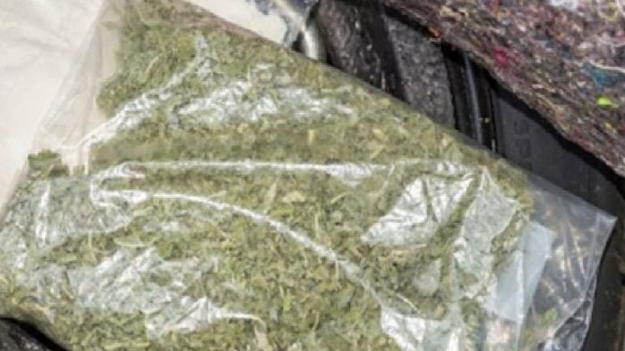 Four held with cannabis worth Rs 4 lakh in Tripura