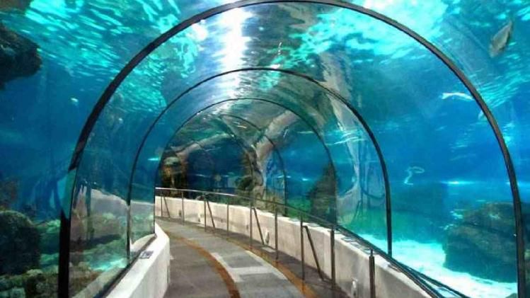 India’s 1st underwater tunnel