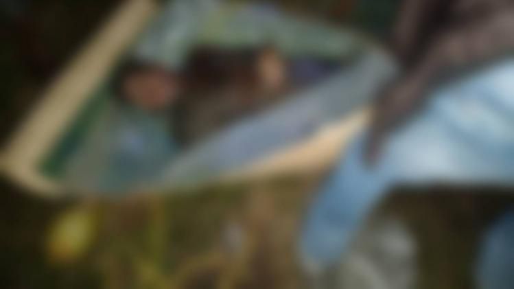 Man trampled to death by herd of wild elephants in Assam's Nagaon district