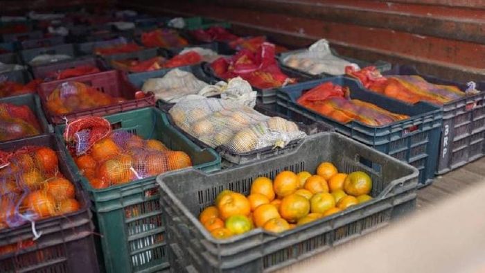 Meghalaya’s sweet orange ‘Khasi Mandarin’ exported to UAE