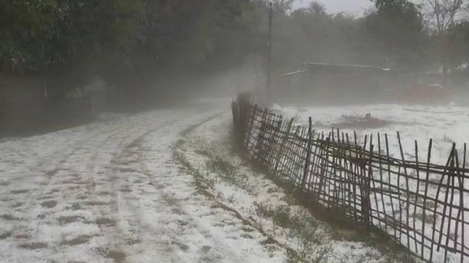 Severe cold wave blankets Upper Assam, Moran turns white after heavy hailstorm Severe cold wave blankets Upper Assam, Moran turns white after heavy hailstorm