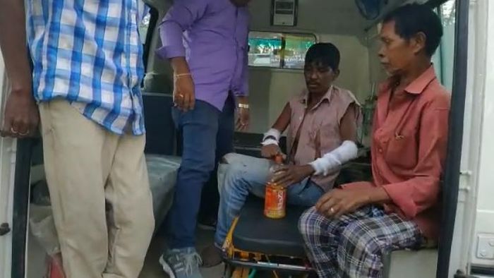 Tiger attack villagers in Morigaon district