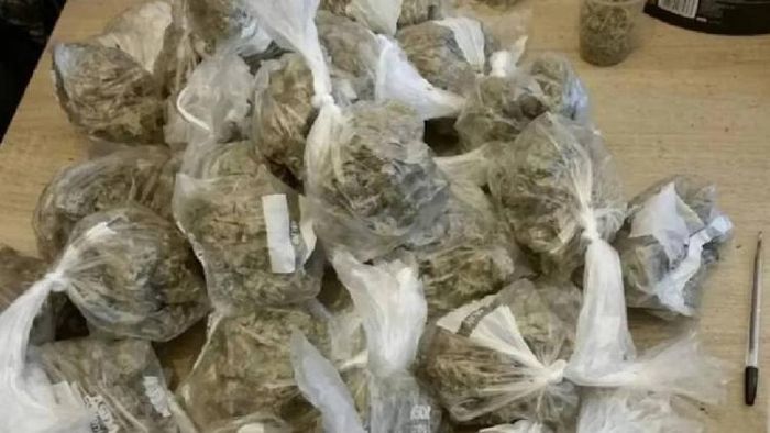 Five including woman held with cannabis worth Rs 9 lakh in Agartala