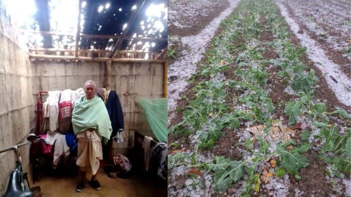 17947 people affected after massive hailstorm triggers four districts of Assam
