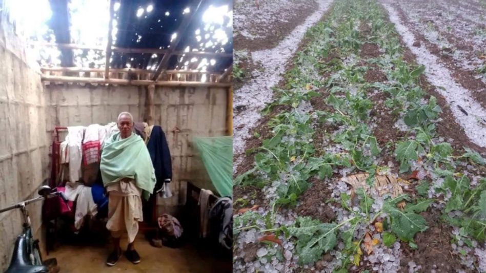 Assam: 17947 people affected after massive hailstorm triggers four districts of state Assam: 17947 people affected after massive hailstorm triggers four districts of state