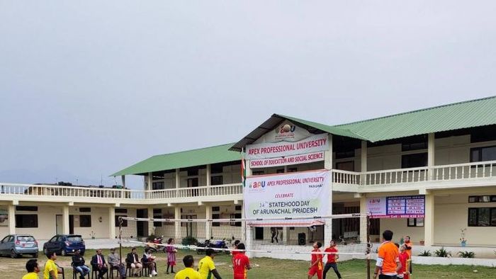 Apex Professional University