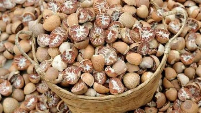 Mizoram Government to take measures to seal godowns storing smuggled areca nuts