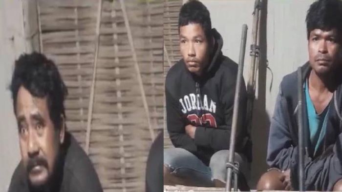 Police seized 3 guns, 12 live rounds of ammunition from the three arrested persons in Assam's Sonitpur district