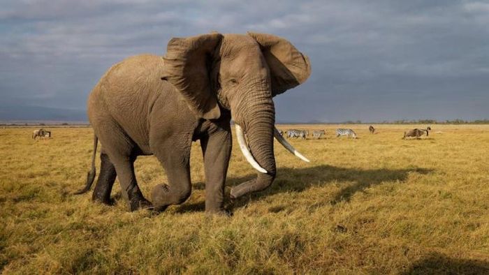 Representative Image