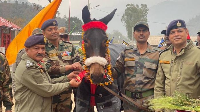 Assam : Hoof No 122 awarded COAS Commendation Card on Army Day 2023