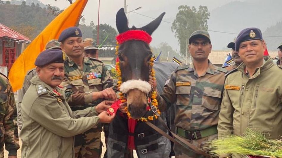 Assam : Hoof No 122 awarded COAS Commendation Card on Army Day 2023 Assam : Hoof No 122 awarded COAS Commendation Card on Army Day 2023