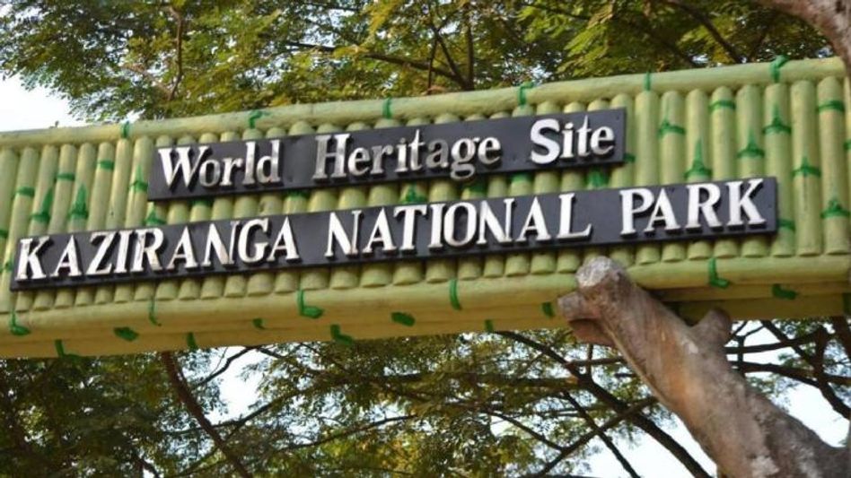 Assam : Kaziranga National Park to open on February 4 Assam : Kaziranga National Park to open on February 4
