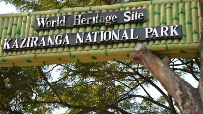 Kaziranga National Park