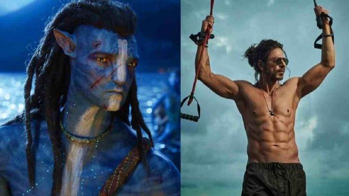 How Pathaan's arrival has spoiled the box office collection of Avatar 2