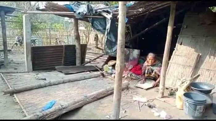 Wild elephant continues to pose threat to Chirang villagers