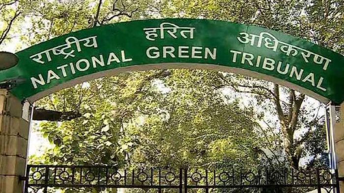 NGT refrains from imposing Rs 1,000 crore fine on Assam, notes state govt's undertaking