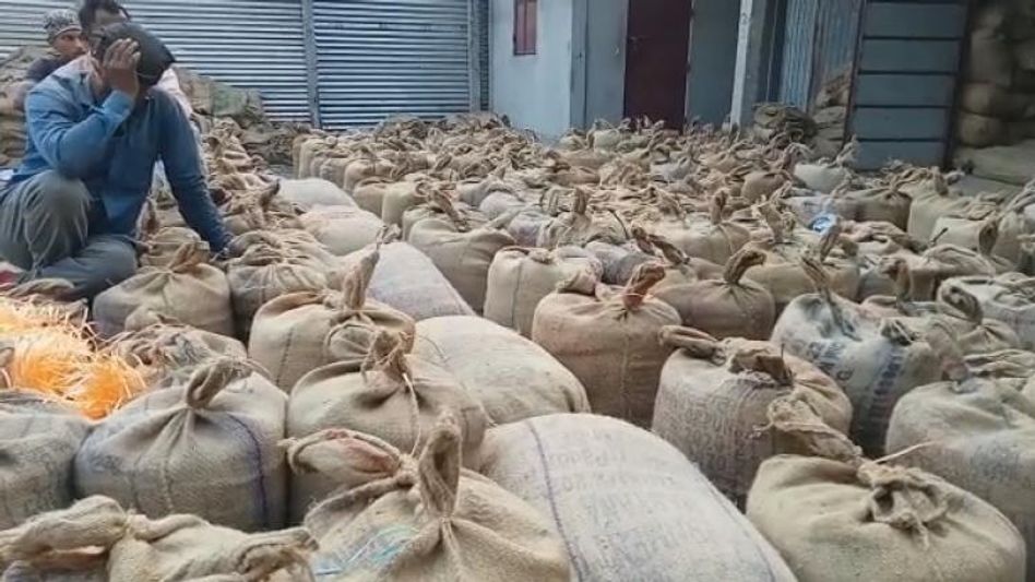 Assam: Farmers upset over delay of payments in paddy procurement centre in Bijni Assam: Farmers upset over delay of payments in paddy procurement centre in Bijni