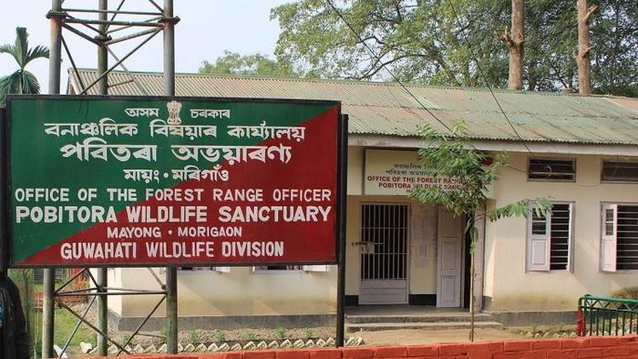 Bureaucrats creates ruckus at Pobitora Wildlife Sanctuary
