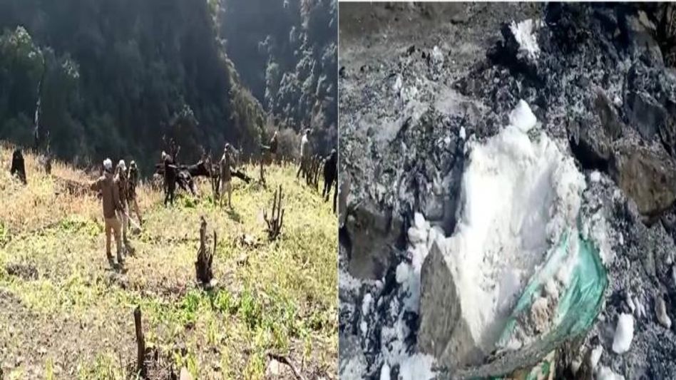 Manipur: Security forces destroy poppy plants spread across 15 acres in Kangpokpi district  Manipur: Security forces destroy poppy plants spread across 15 acres in Kangpokpi district